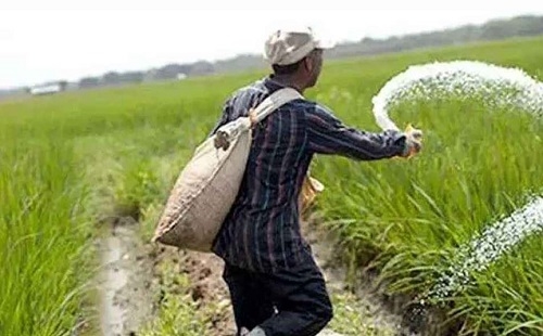 প্রায় ২৭’শ কোটি টাকায় সাড়ে তিন লাখ টন সার কিনছে সরকার