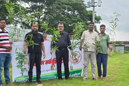 বিসিসিএমইএর ৫ হাজার চারা রোপণ সম্পন্ন