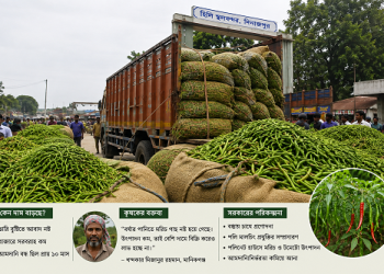 আসছে ভারতীয় কাঁচা মরিচ, দাম কমার আশা