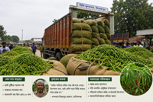 আসছে ভারতীয় কাঁচা মরিচ, দাম কমার আশা