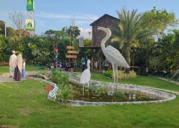 কংক্রিটের শহরে সবুজ তৈরির কারিগর রকিবুল