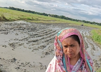 কেন্দুয়ায় ভাইয়ের বিরুদ্ধে জমির ধানের চারা নষ্ট করার অভিযোগ