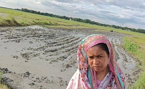 কেন্দুয়ায় ভাইয়ের বিরুদ্ধে জমির ধানের চারা নষ্ট করার অভিযোগ